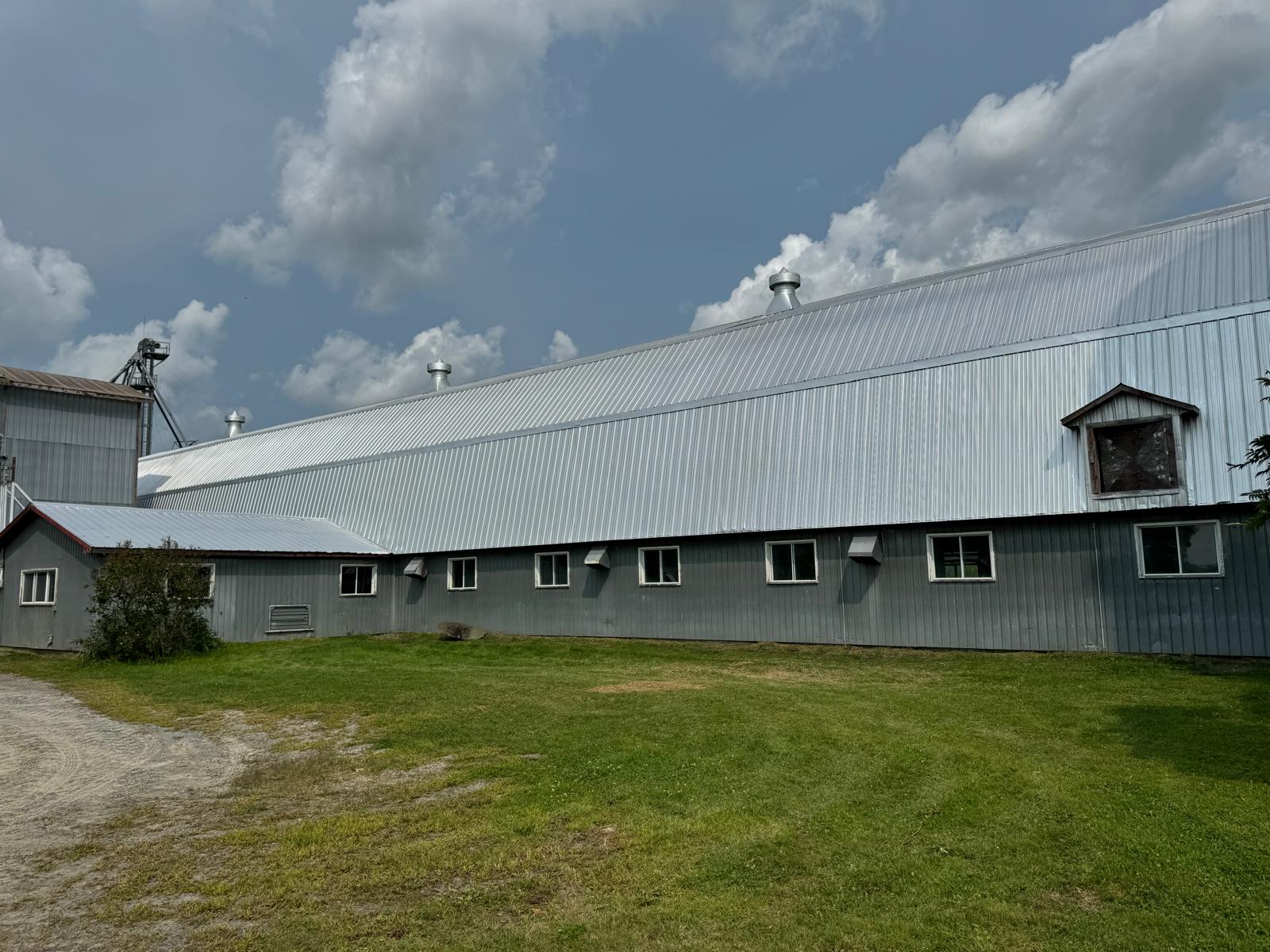 Toiture tôle agricole peinte protection antirouille
