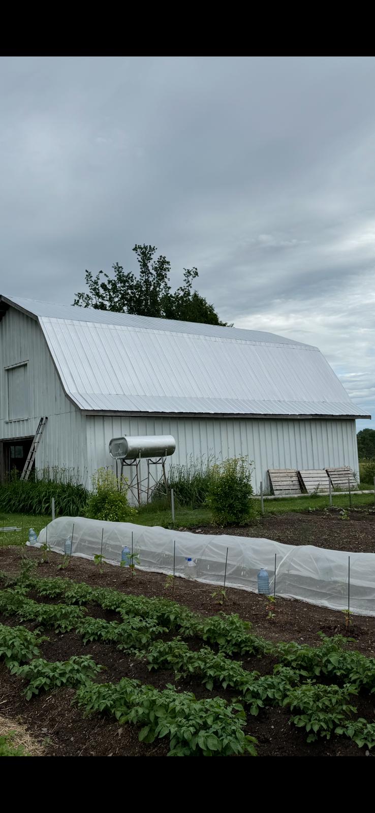 Toiture en tôle peinte grange agricole Québec